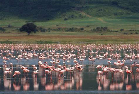 Ngorongoro Crater Tanzania Safaris Expert Africa