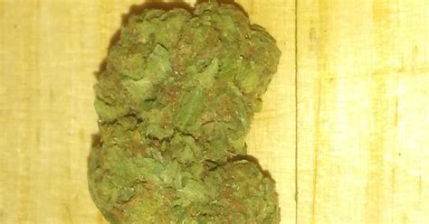 Photos Of Suicide Girl Weed Strain Buds Leafly