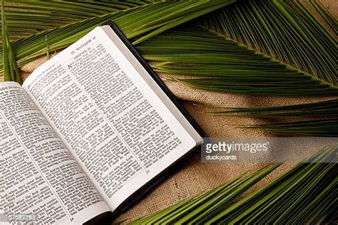 Open Bible Kjv Photos And Premium High Res Pictures Getty Images