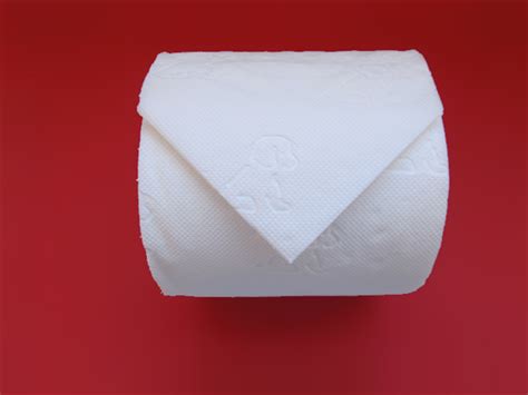 How To Do A Simple Origami Fold On The End Of Your Toilet Paper Toilegami