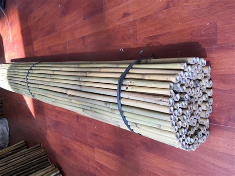 Shop online for premium quality bamboo poles at affordable prices. Bamboo Poles Gallery - Bamboo Toronto