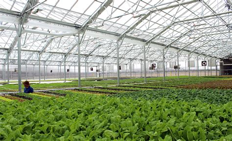 Brightfarms To Build 3 Sustainable Greenhouse Farms 2019 02 26