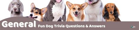 71 Fun Dog Trivia Questions And Answers Group Games 101