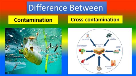 Difference Between Contamination And Cross Contamination Youtube