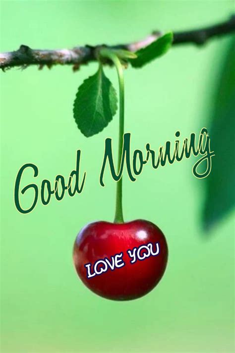 pin by lara on morning wishes good morning flowers good morning love good morning love you
