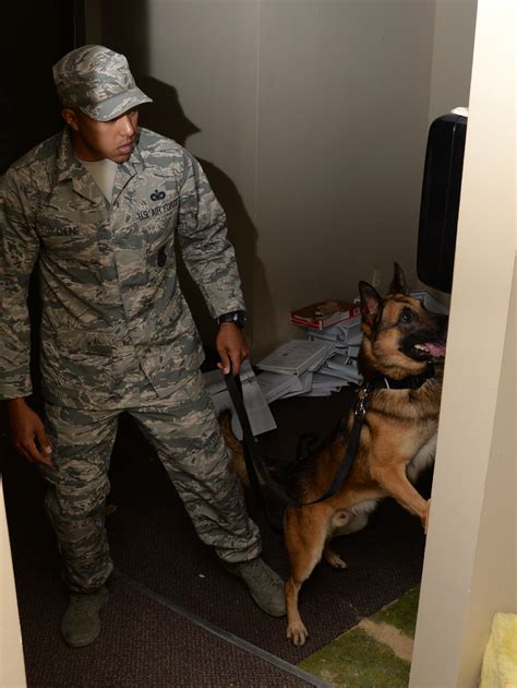 K 9 Handlers Practice Searches Bites Moody Air Force Base Article Display