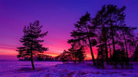 Winter Sunset HD Wallpaper | Background Image | 1920x1080