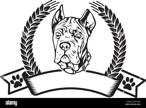 Black Cane Corso Svg Png Dxf Files For Cricut Mastiff Art Breed Vec