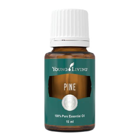 Pine Essential Oil 15 Ml Young Living Essential Oils