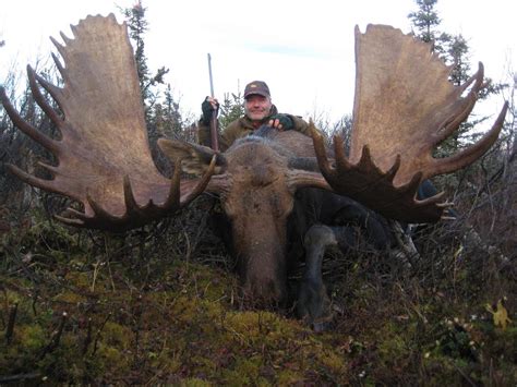 That would make it the tallest tree in canada. Seventh Largest Moose in the World