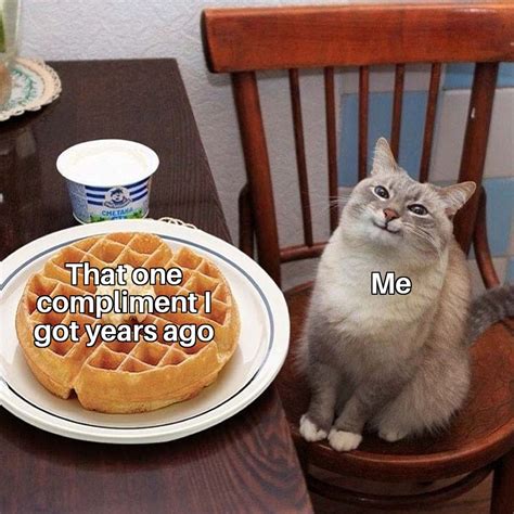 Upon reading this comic, i decided to youtube the video. The Best Cat Memes - memes.cool