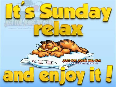Enjoy Your Sunday Garfield Cartoon Smiles And Laughs Jokes