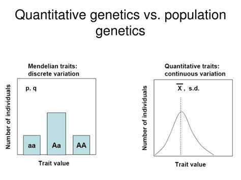 Ppt Quantitative Genetics Traits Controlled My Many Loci Powerpoint