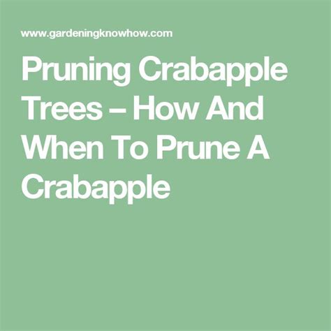 Crabapple Pruning Info When And How To Prune Crabapples Tree Pruning