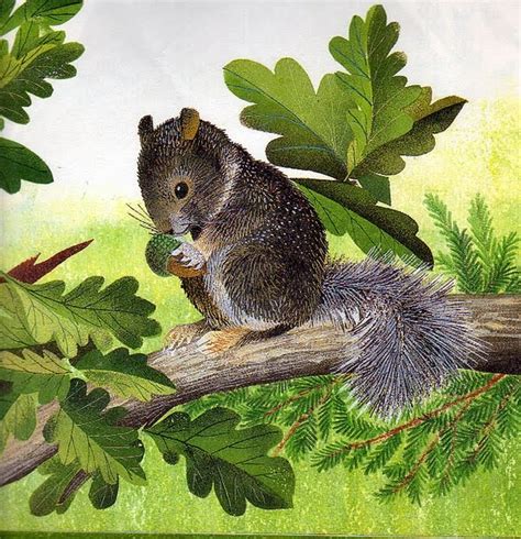 Vignette Design Squirrels Acorns And Oak Leaves Oh My