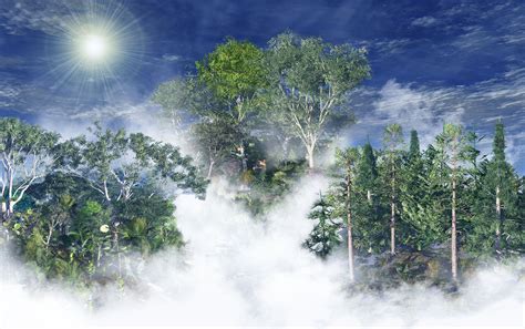 Multimedia Gallery Global Forests And Climate Change Image 1 Nsf