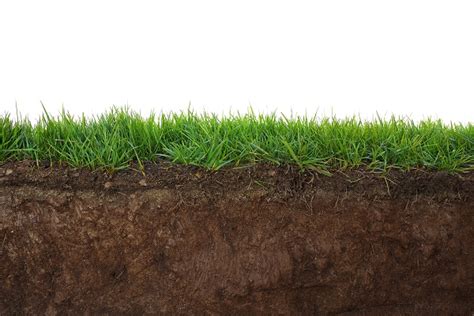Working With Arizona Soil For A Healthy Lawn Evergreen Turf
