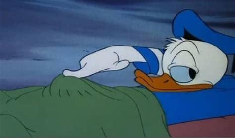 Top Donald Duck Meme In The World Memes Point Memes Point