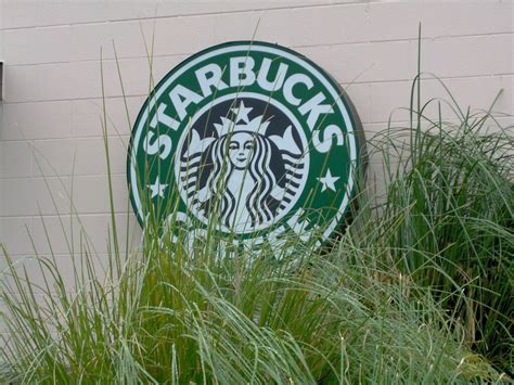 Starbucks Sign In The Wild Well Make Our Approach Quietly Flickr