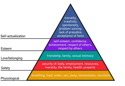 Maslows Hierarchy Of Needs Maslows Hierarchy Of Needs Sexiezpix Web Porn