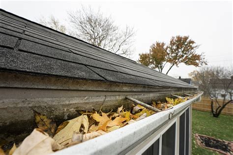 Roof Maintenance 5 Steps To A Healthier Roof The Wny Company