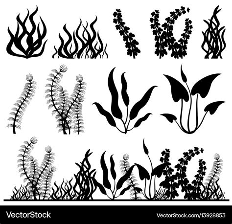 Sea Plants And Aquarium Seaweed Set Royalty Free Vector