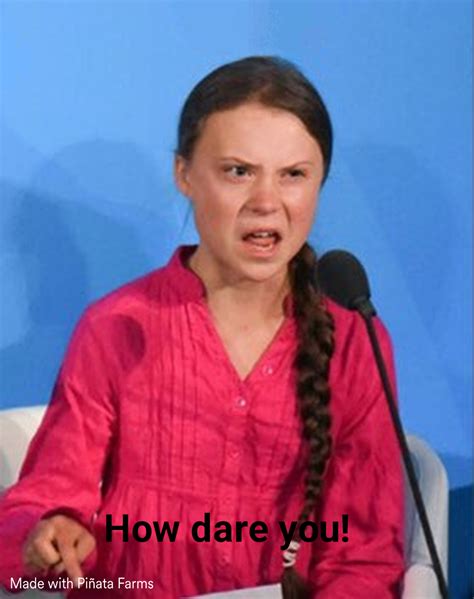 Greta Thunberg How Dare You Memes Piñata Farms The Best Meme