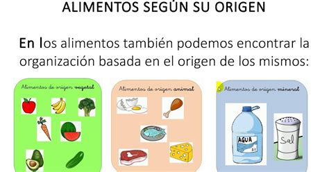 Alimentos De Origen Animal Vegetal Y Mineral