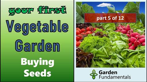 Your First Vegetable Garden 🌽🍅🍆 Buy The Best Seed Heirlooms Hybrids