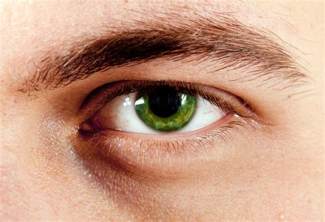 Зеленые Глаза подборка фото топ фотографий сезона