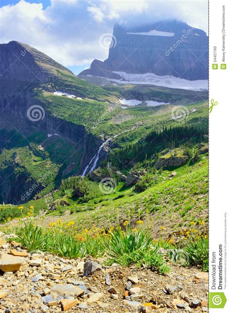 Wild Flowers And High Alpine Landscape Of The Grinnell