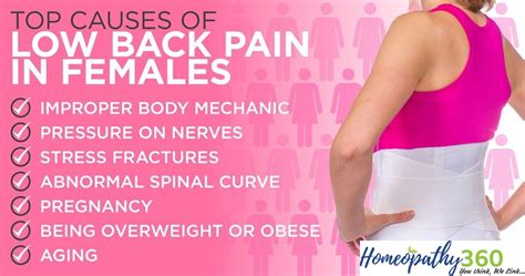 Male Or Female Back Pain Causes Symptoms And Treatments With Homeopathy Medicine