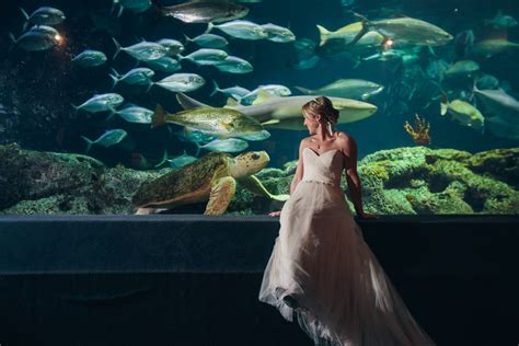 South Carolina Aquarium Wedding By Sage Innovations A Lowcountry