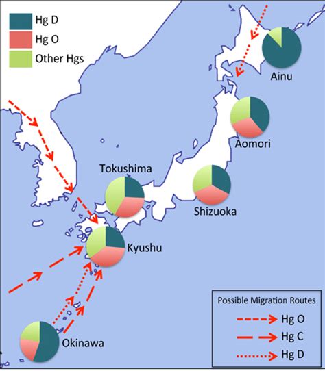 Frequencies Of Haplogroup D And O In Different Japanese Population Download Scientific Diagram