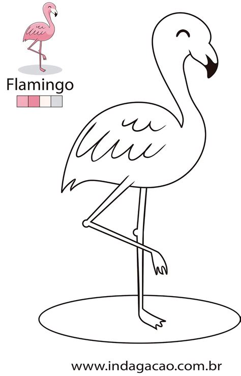Desenho Para Colorir Flamingo IndagaÇÃo