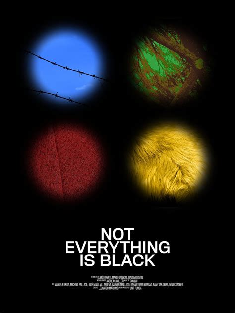 Not Everything Is Black Posters The Movie Database Tmdb