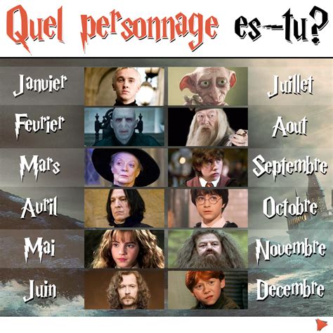 A quel personnage d'Harry Potter correspondez-vous ? | Harry potter