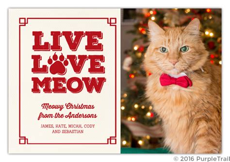Live Love Meow Cat Christmas Photo Card Cat Christmas Cards