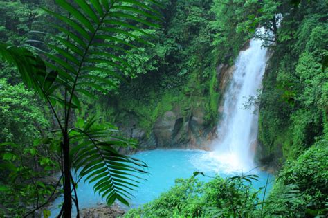 Enjoy Costa Ricas Extraordinary Biodiversity Inspiration