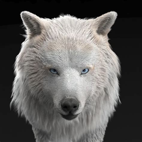 Artstation Wolf Bluesky No Wolf World Wolf Dog Fantasy Wolf