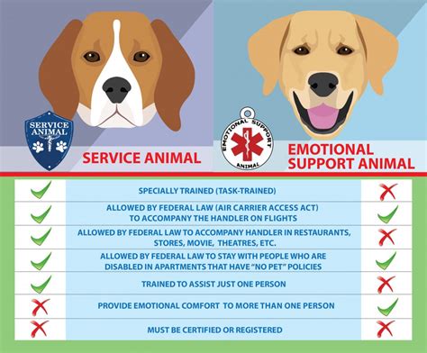 Our list of excluded breeds. Service Dogs vs Emotional Support Animals | Healthy Paws