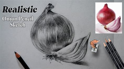 How To Draw A Realistic Onion 🧅😀 Realistic Onion Drawing In Pencil