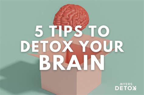 Why You Need A Brain Detox And How To Do It