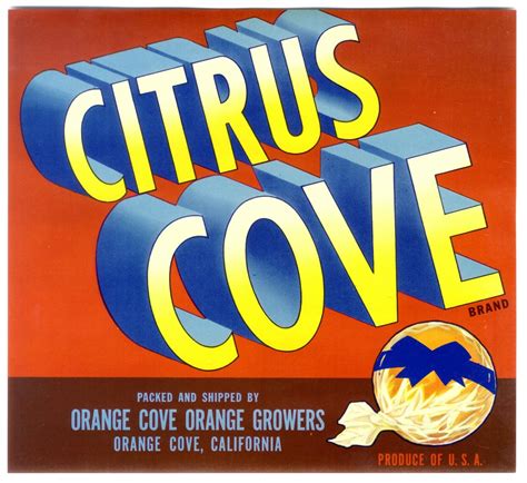 Citrus Cove~original 1940s Authentic Orange Cove California Fruit Crate