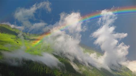 Rainbow hd wallpaper for android phone. Rainbow 14 4K HD Nature Wallpapers | HD Wallpapers | ID #33611
