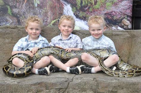 How many roles are available in the 2021 australia post graduate program? Australian Reptile Park | Australian Traveller