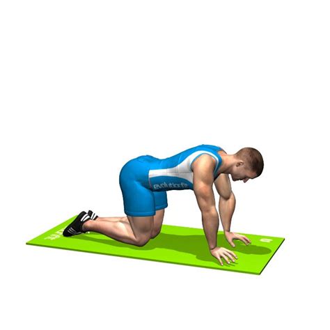 Alternating Superman Involved Muscles During The Training Glutes Whole Body Workouts Exercise