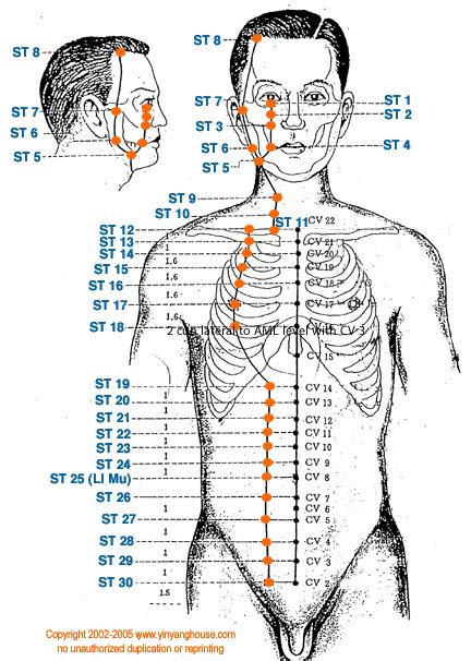 Yin Yang House Acupuncture Points On The Stomach Meridian Acupuncture
