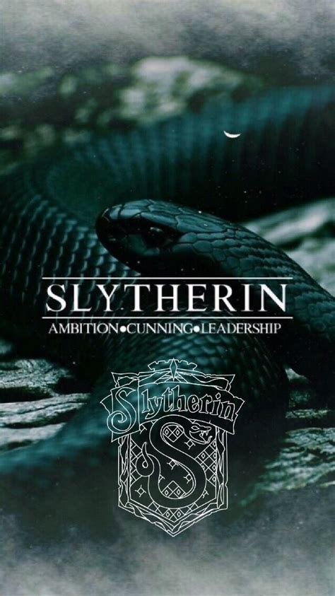 Slytherin Pride 2485477 Hd Wallpaper And Backgrounds Download