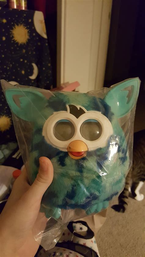 Fubby Lover — So I Was Scammed On A Furby And I Figured I